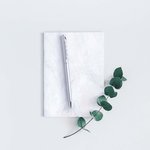 Stylo Zardox BLANC