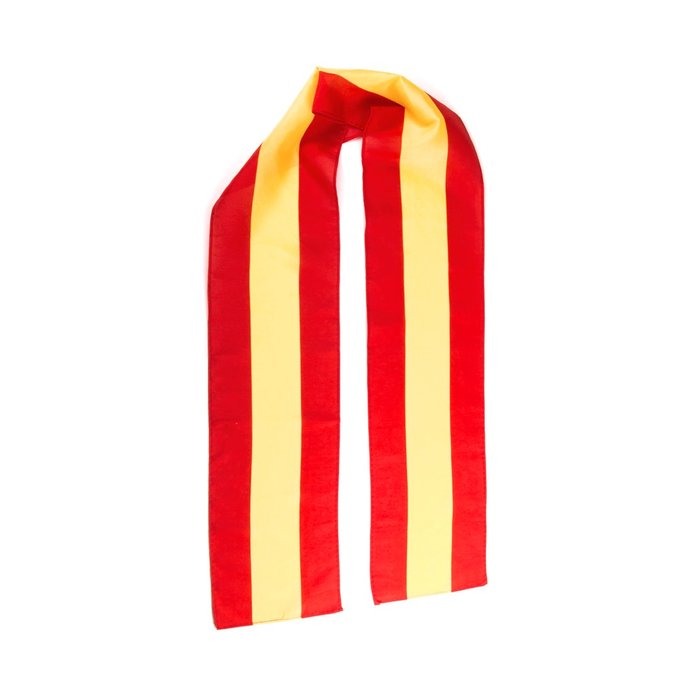 Cachecol Lesport