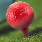 Golf Tee Hydor WHITE