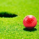 Golfbal Nessa WIT