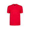 Kleuren T-Shirt Volwassene Premium ZWART
