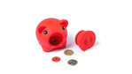 Money Box Donax WHITE
