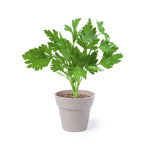 Blumentopf Set Nertel.