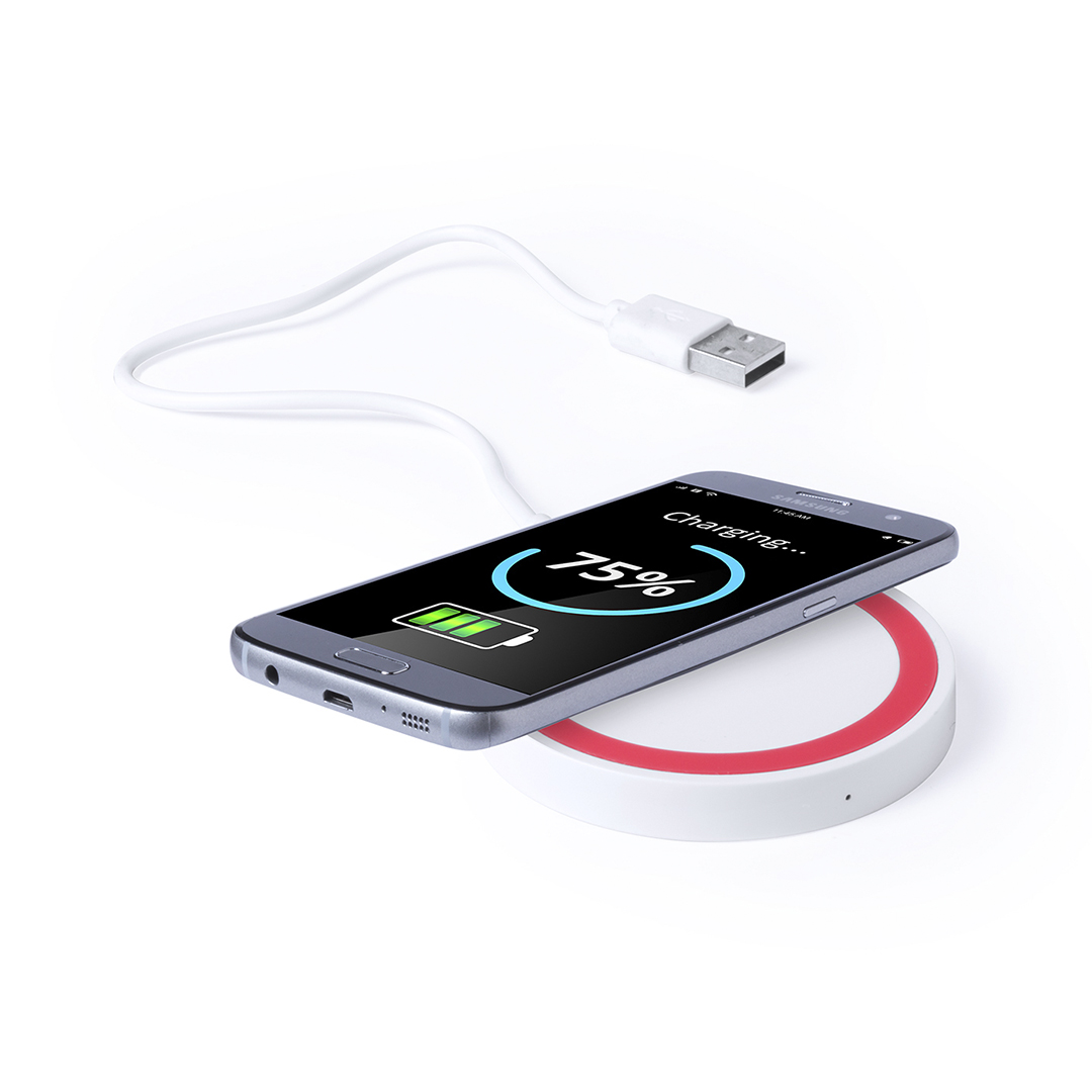 Charger Radik