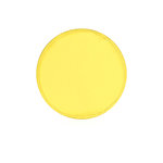 Frisbee Watson BLANC