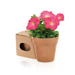 Bloempot Advert NATUREL
