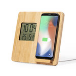 Oplader Weerstation Fiory.