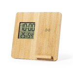 Oplader Weerstation Fiory.