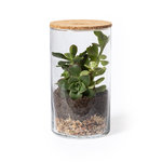 Terrarium Anymak.