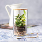 Terrarium Anymak.