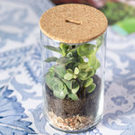 Terrarium Anymak.