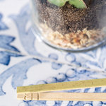 Terrarium Anymak.