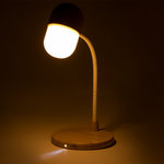Multifunction Lamp Lars.