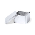 Geschenkendoos Topak ZILVER