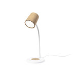 Multifunctioneel Lamp Borstein.