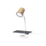 Multifunctioneel Lamp Borstein.