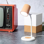 Multifunctioneel Lamp Borstein.