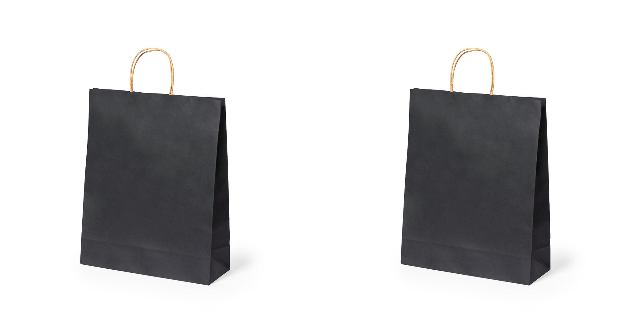 Tas Linel ZWART