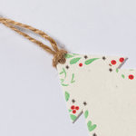 Seeds Christmas Decoration Boster STAR
