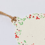 Seeds Christmas Decoration Boster STAR