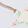 Seeds Christmas Decoration Boster STAR