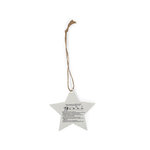 Seeds Christmas Decoration Boster STAR