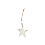 Seeds Christmas Decoration Boster STAR