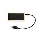 USB Hub Ginger.