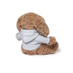 Teddy Chamox BRAUN