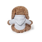 Teddy Chamox BRAUN