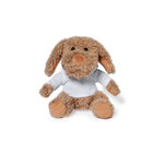 Teddy Chamox BRAUN