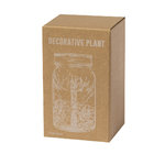 Plante Décorative Kyala.