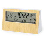 Wetterstation Roamer.