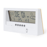 Wetterstation Roamer.