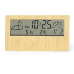 Wetterstation Roamer.