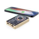Power Bank Dominik.