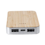 Power Bank Newin SILBER