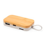 Halter USB Hub Flow.