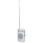 Radio Mester ZILVER