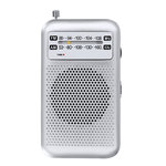 Radio Mester ZILVER