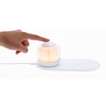 Oplader Lamp Reginal WIT