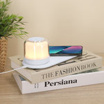 Oplader Lamp Reginal WIT