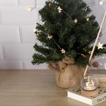 Ornament Plentox NATURFARBE