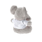 Teddy Brekalo GREY