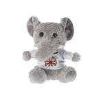 Teddy Brekalo GREY