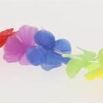 Collar Jamaicano Punder RAINBOW