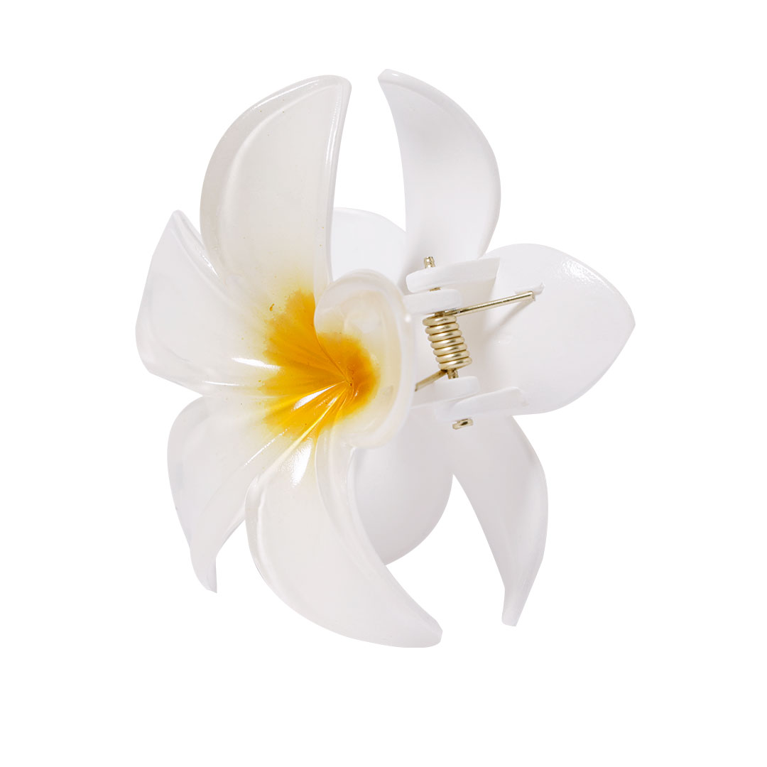 Hair Clip Tixcon