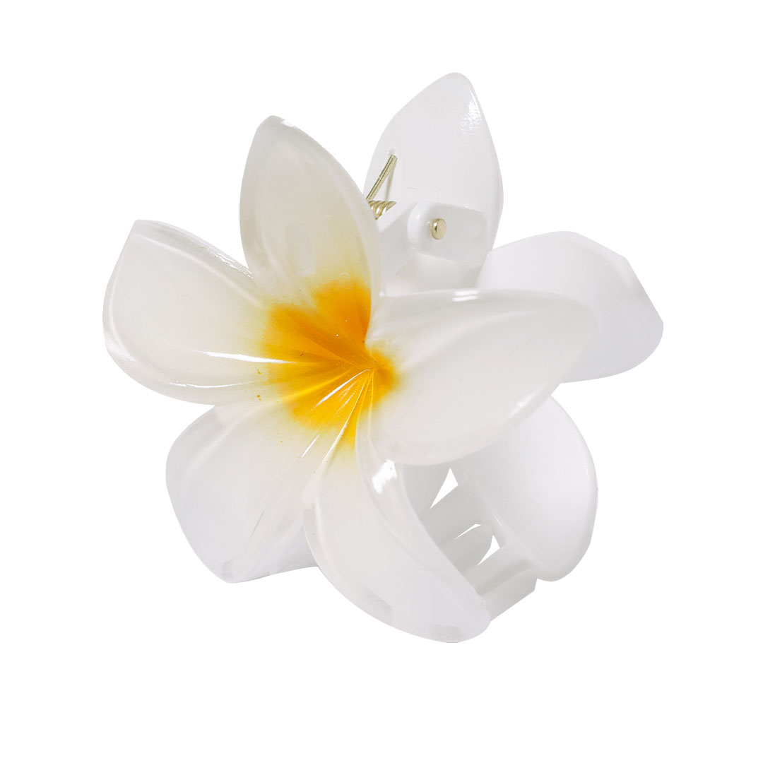 Hair Clip Tixcon