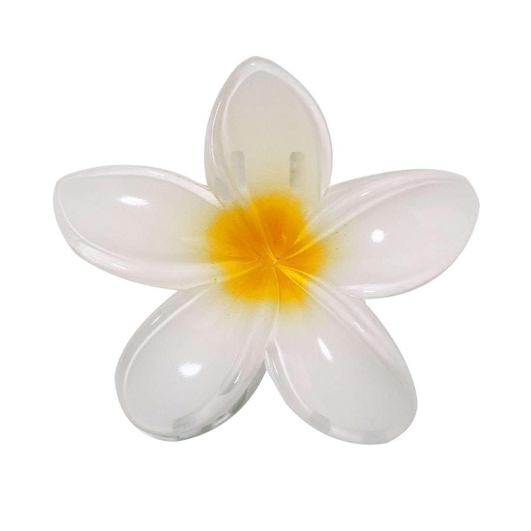 Hair Clip Tixcon