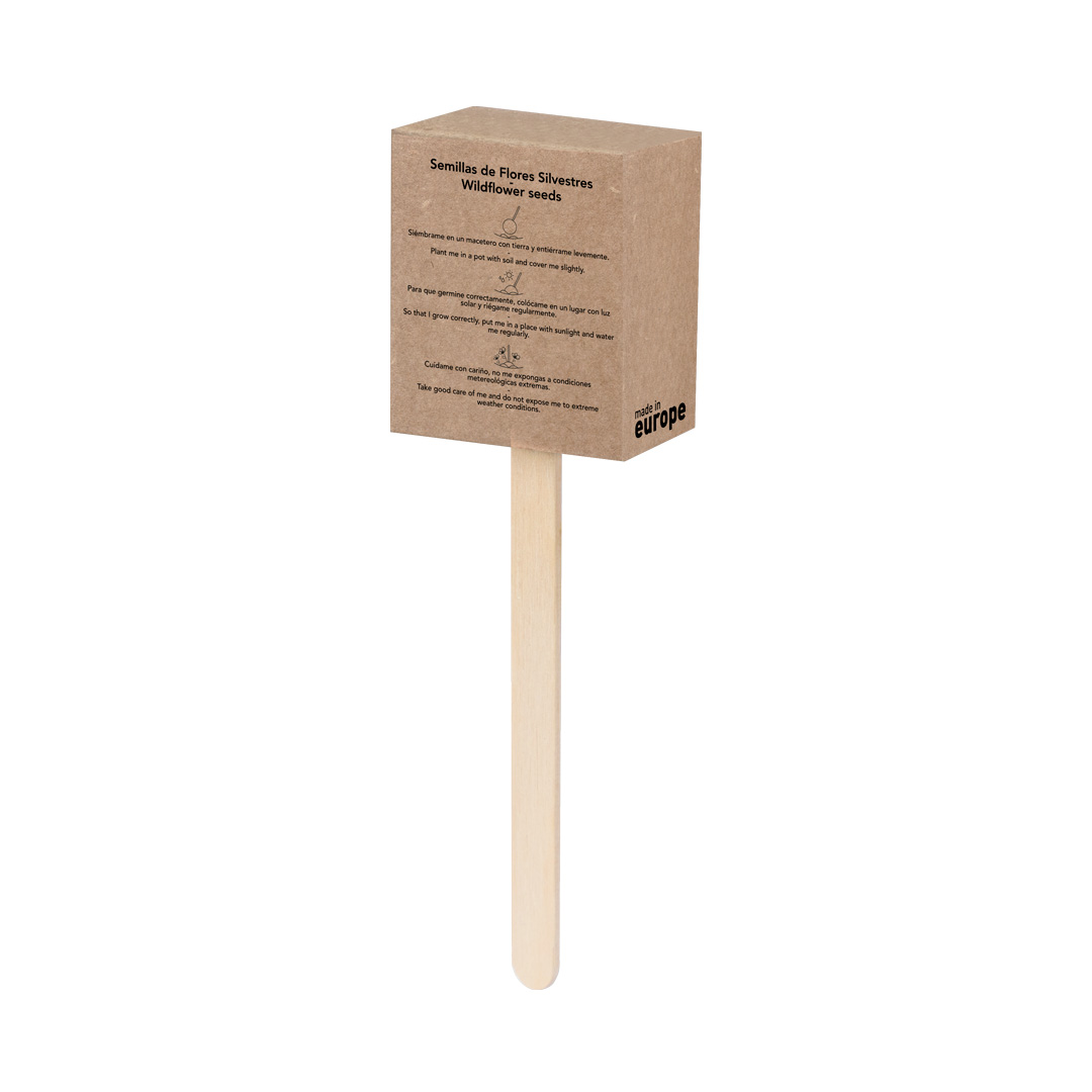 Seed Lollipop Ebeldy